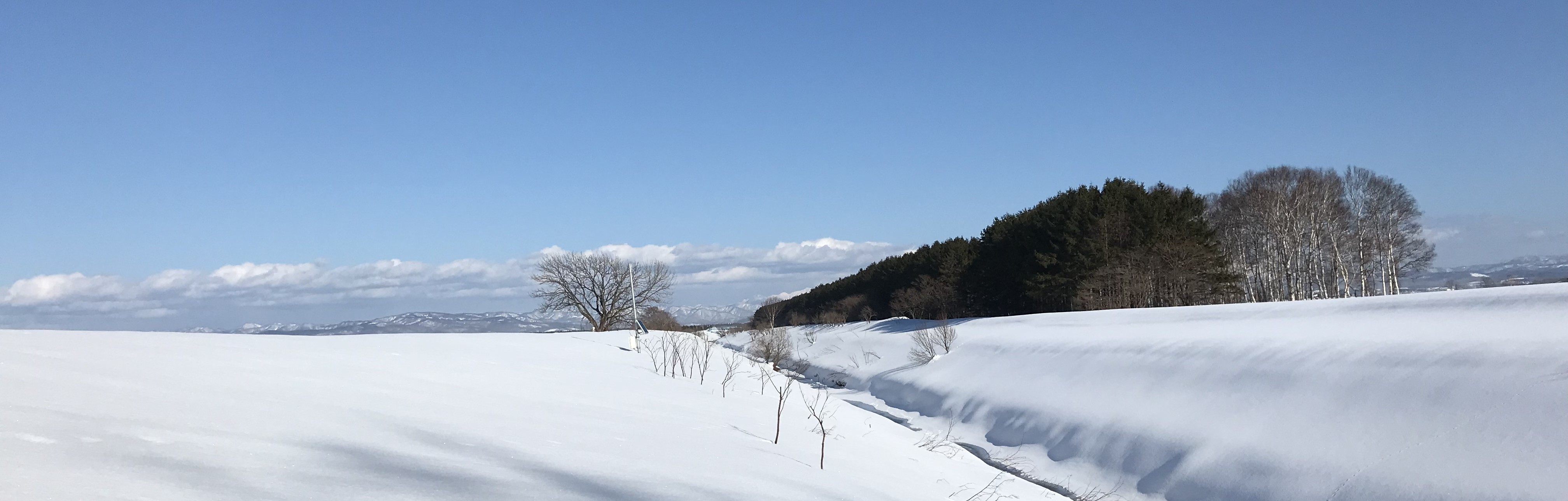 大自然を見える化します。